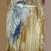 Great blue heron-2