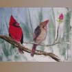 the cardinals