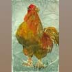 crowing cock