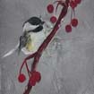 Black-capped ckickadee with berries